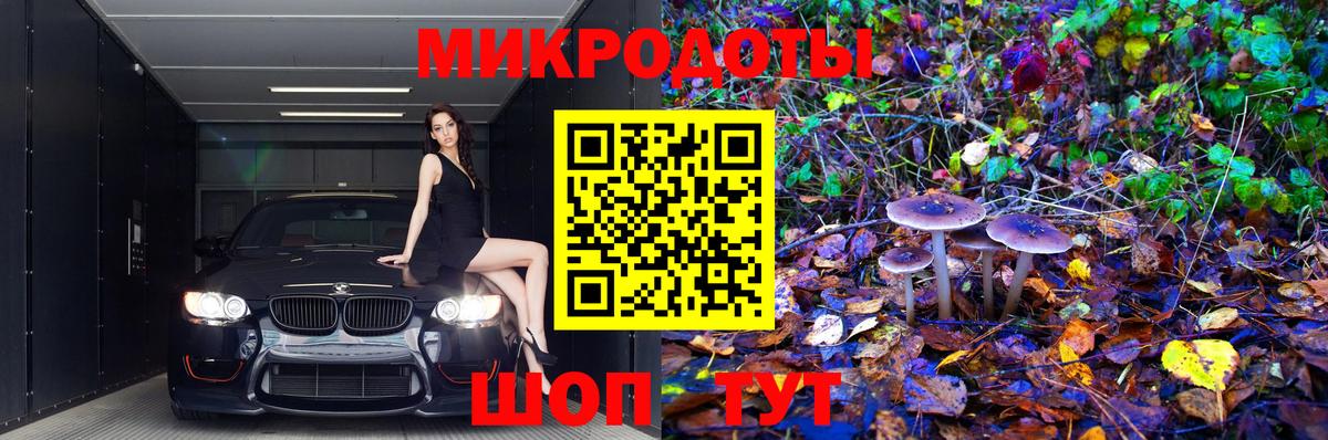 Псилоцибиновые грибы Magic Shrooms Великий Новгород