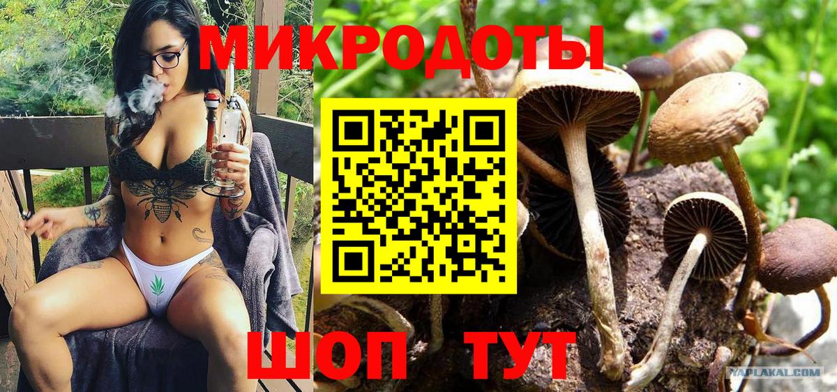 Великий Новгород  Галлюциногенные грибы Psilocybine cubensis  Вход с VPN 